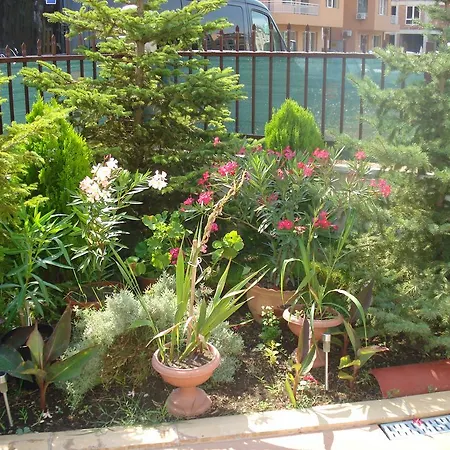 شقة Summer Breeze