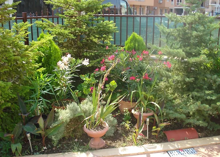 Appartamento Summer Breeze